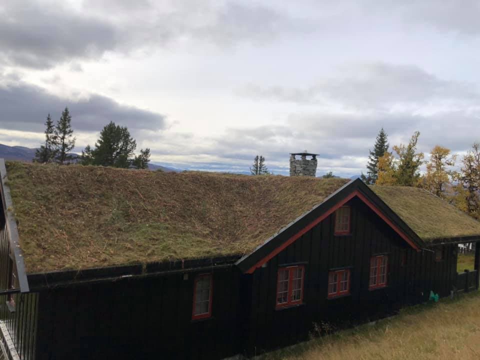 Velstelt torvtak med vedlikeholdsavtale