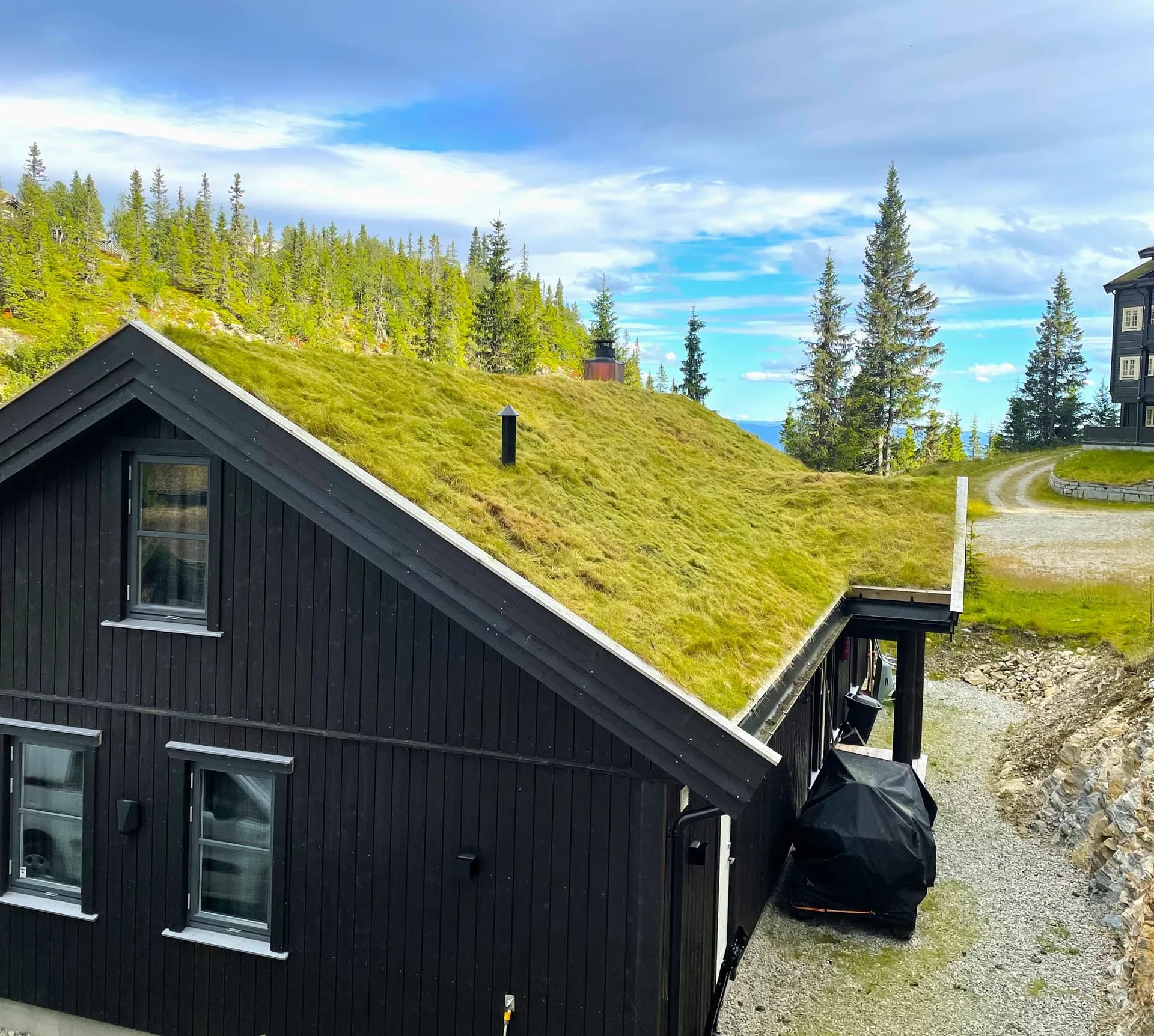 Mørk hytte med frodig torvtak og skogslandskap bak