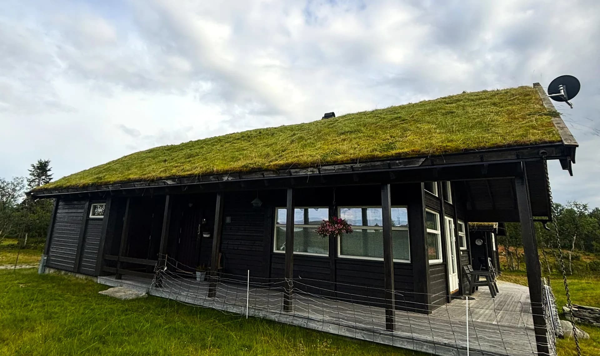 Rød hytte med velstelt torvtak sett ovenfra