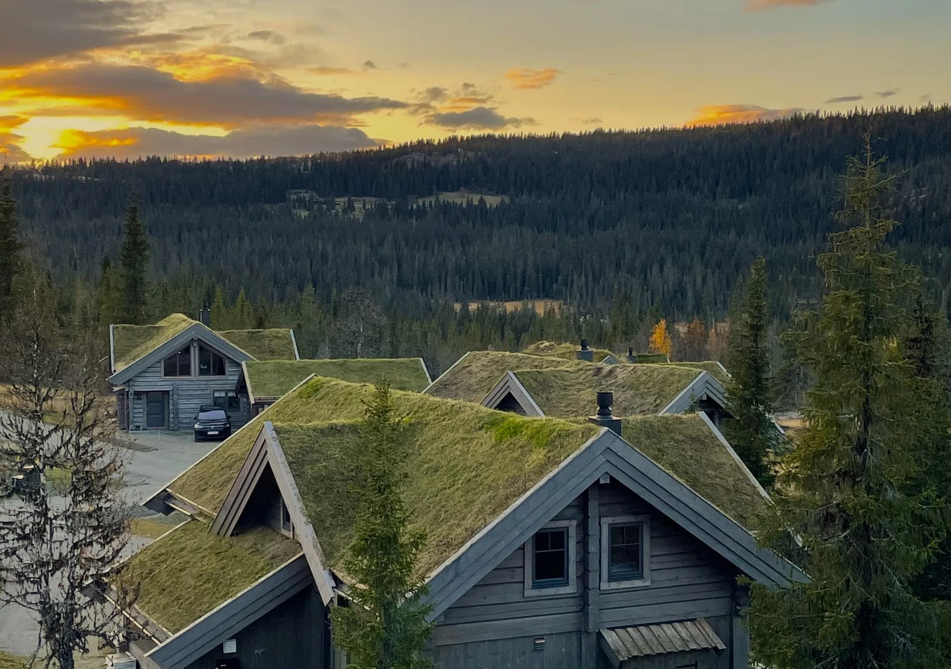 Velstelte torvtak ved solnedgang i Gudbrandsdalen